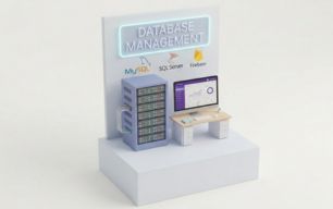 Database category